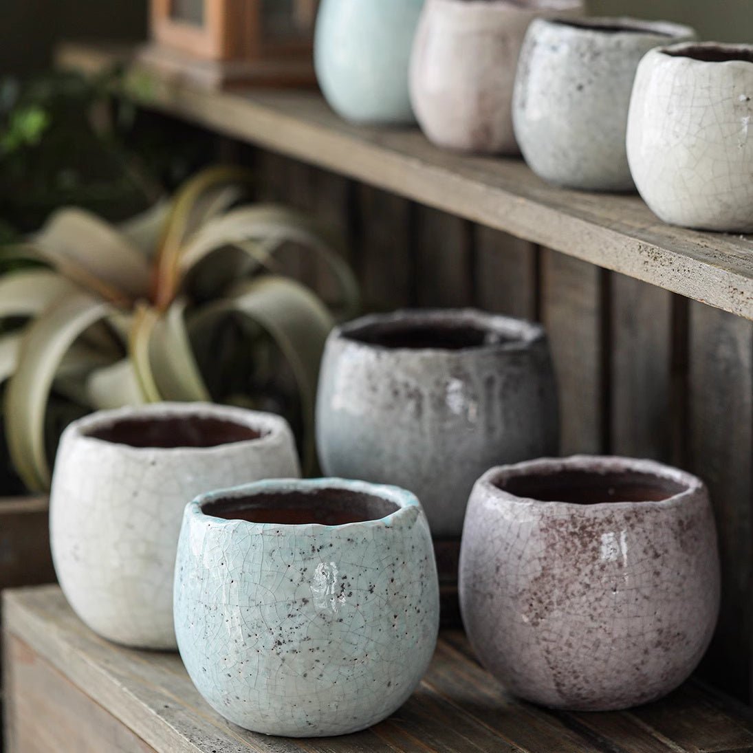 Petite Ceramic Planter Set