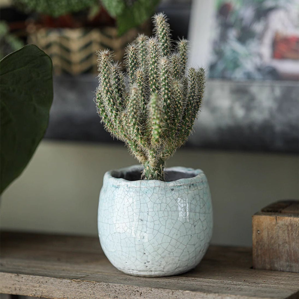 Petite Ceramic Planter Set