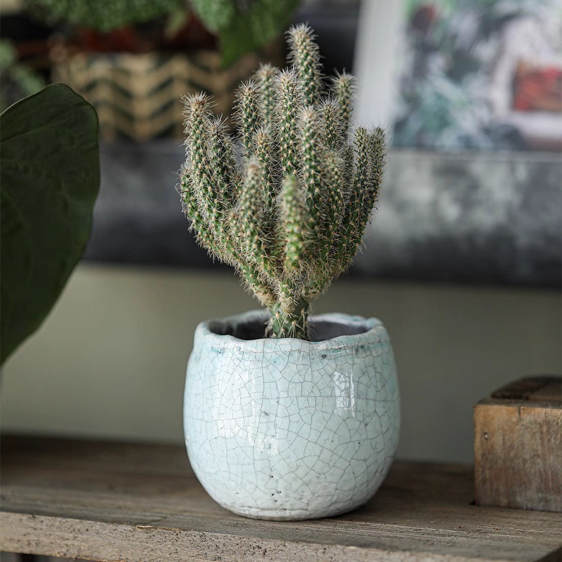Petite Ceramic Planter Set
