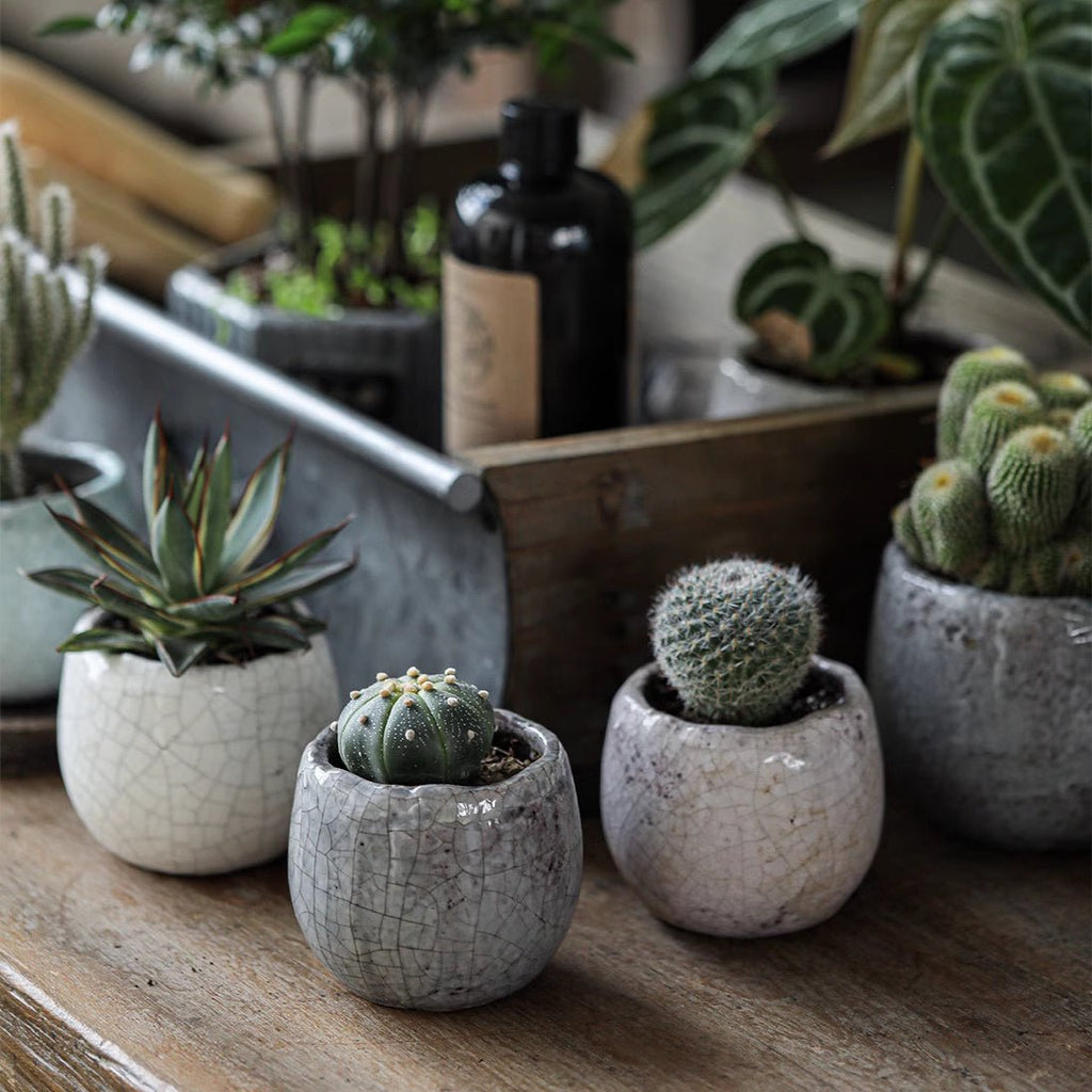 Petite Ceramic Planter Set