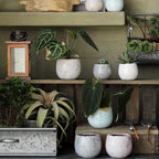 Petite Ceramic Planter Set