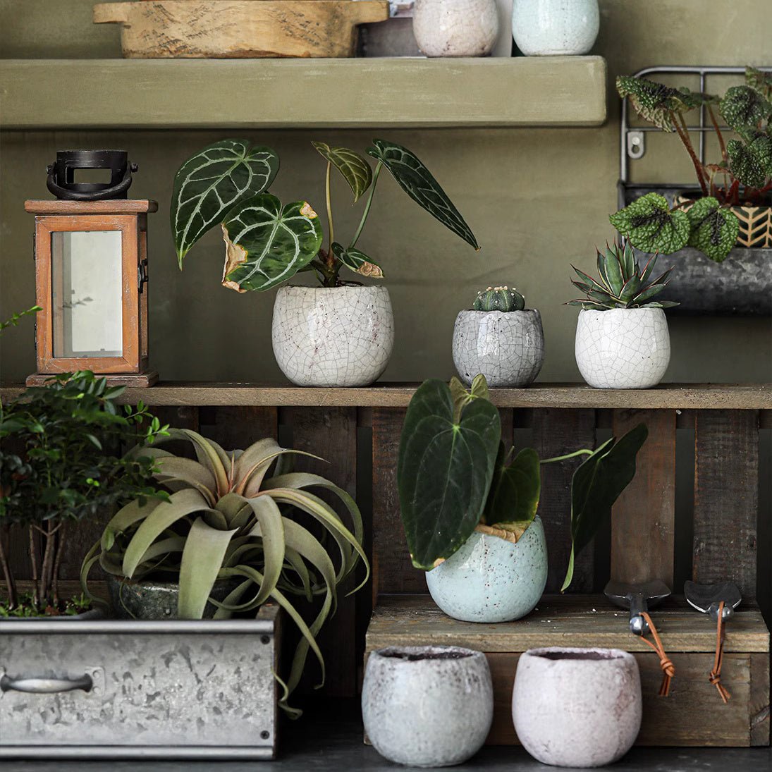 Petite Ceramic Planter Set