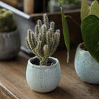 Petite Ceramic Planter Set