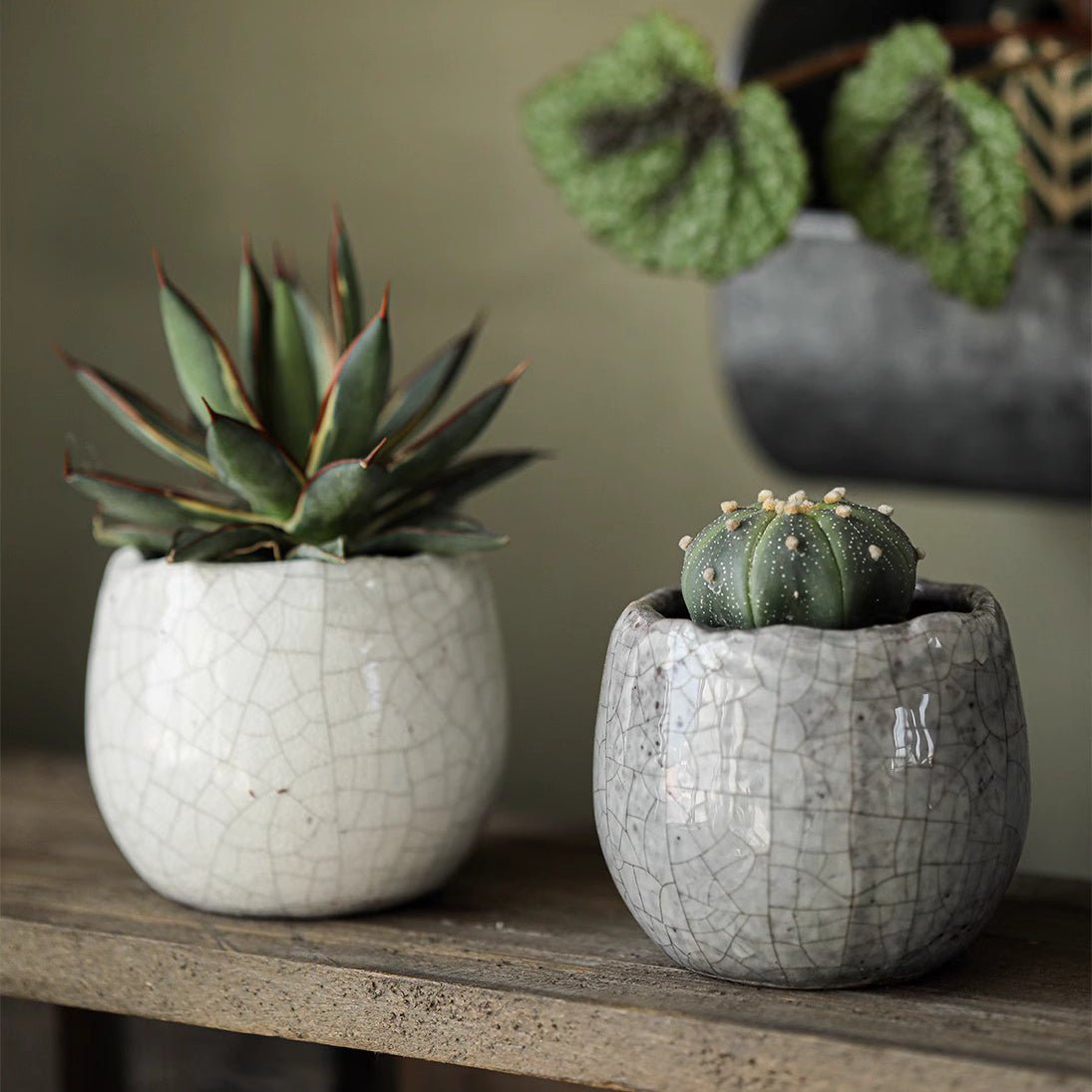 Petite Ceramic Planter Set
