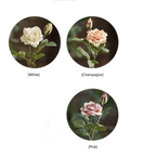 Rolled Edge American Rose Stem