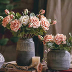 Rolled Edge American Rose Stem