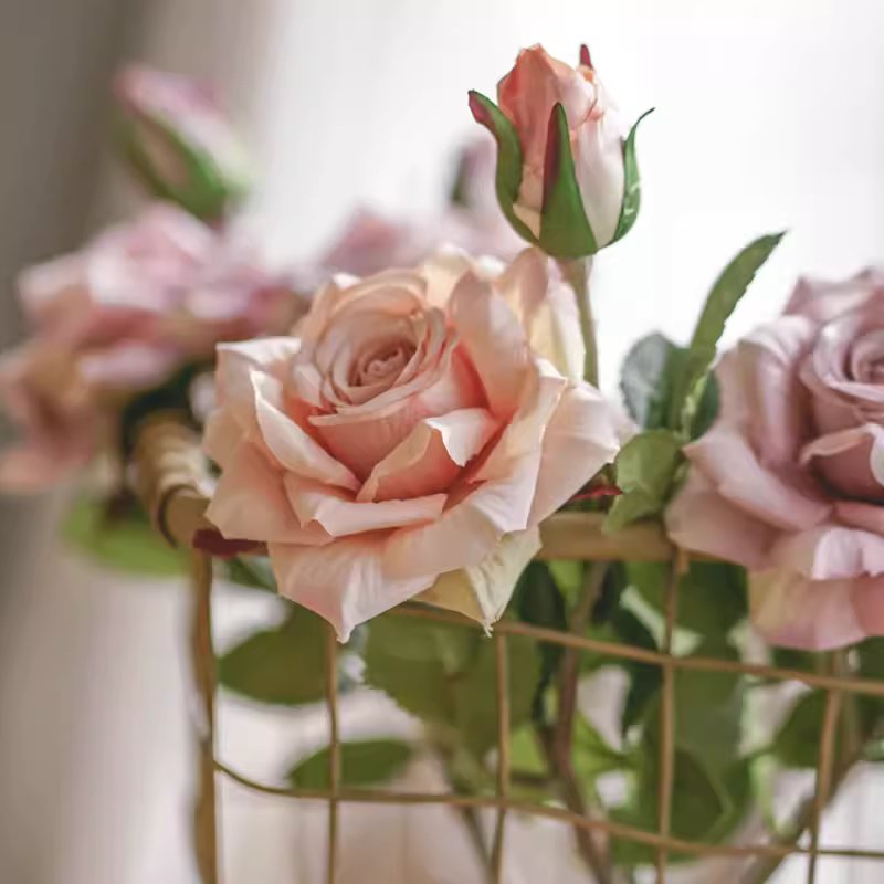 Rolled Edge American Rose Stem