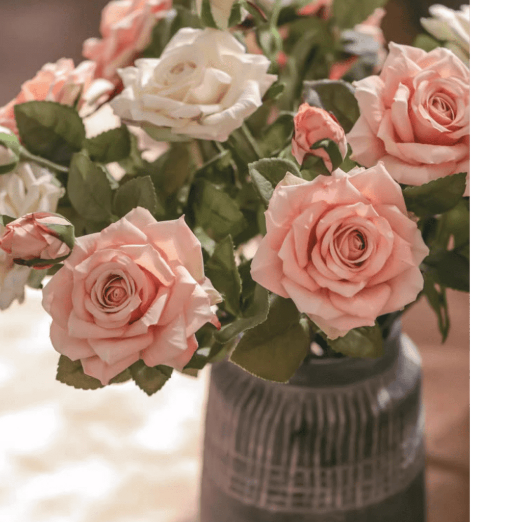Rolled Edge American Rose Stem