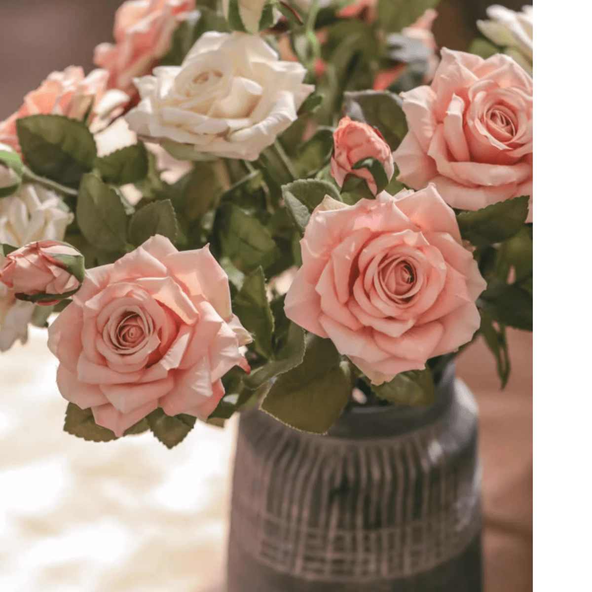 Rolled Edge American Rose Stem
