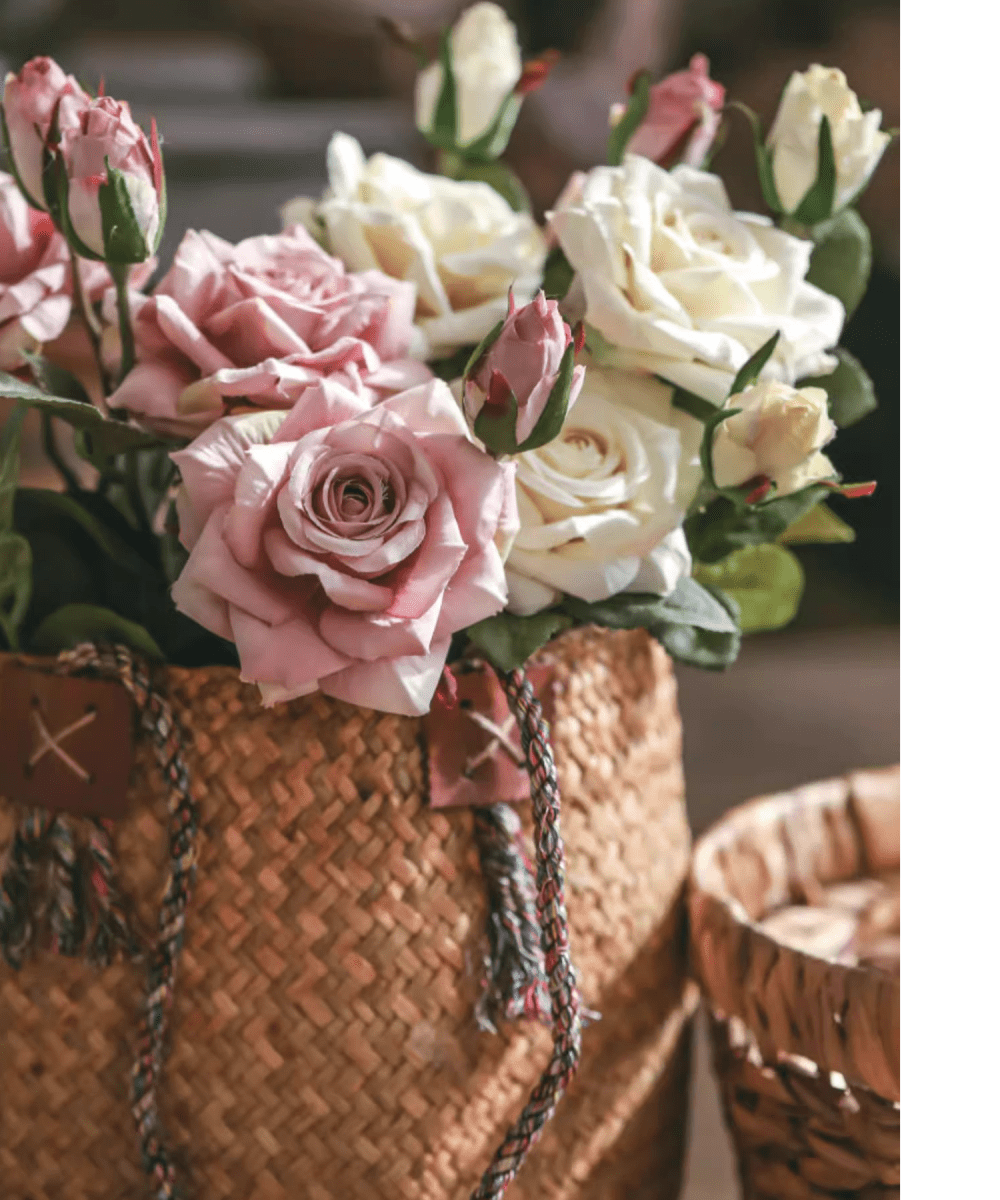Rolled Edge American Rose Stem