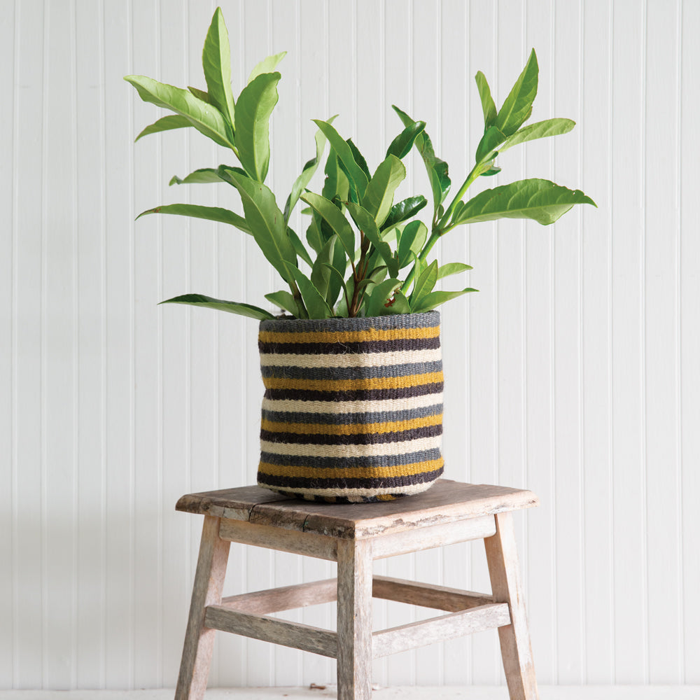 Curacao Striped Storage Planter