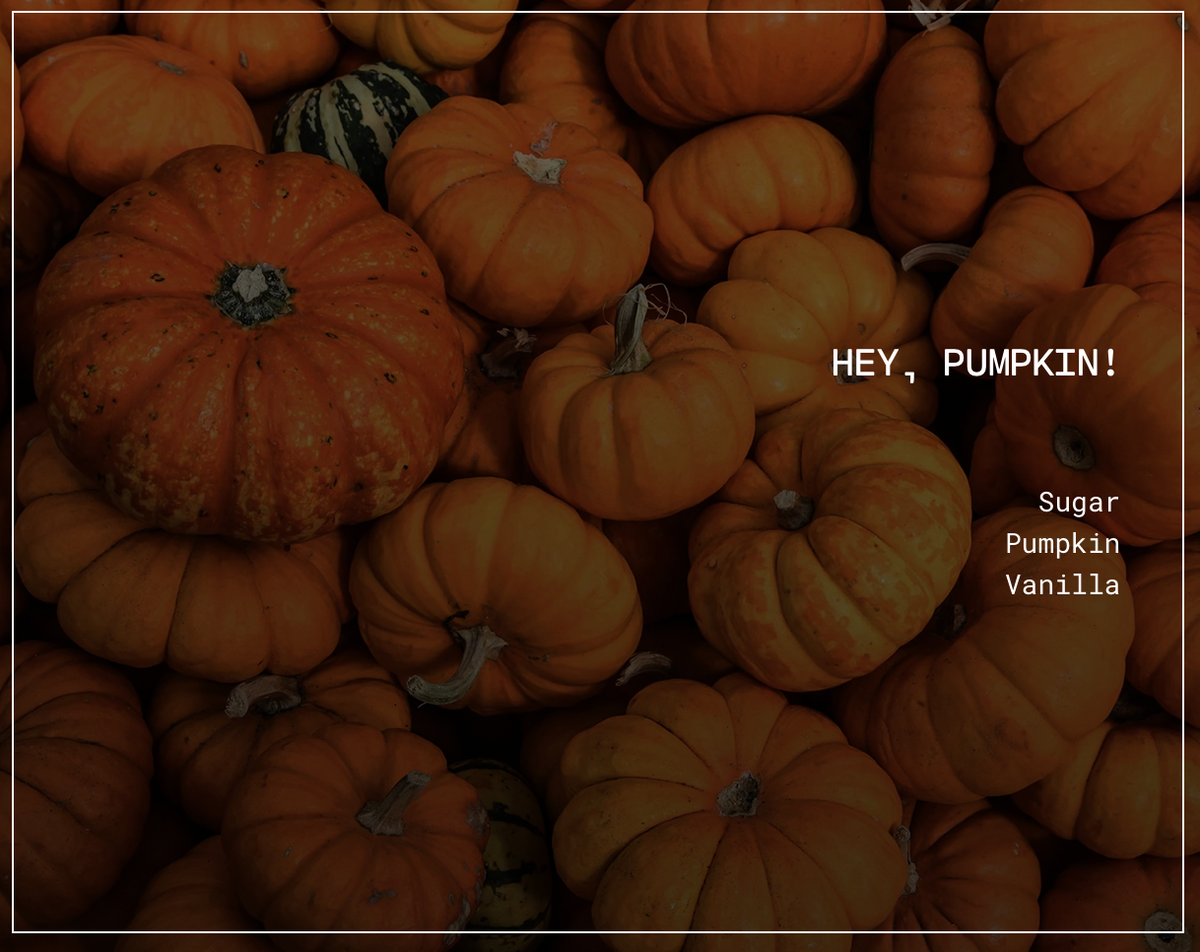HEY, PUMPKIN! SOY CANDLE - 16 oz Butter Jar