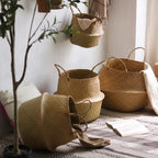Foldable Seagrass Belly Basket with Handles