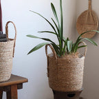 Natural Seagrass Planter Basket