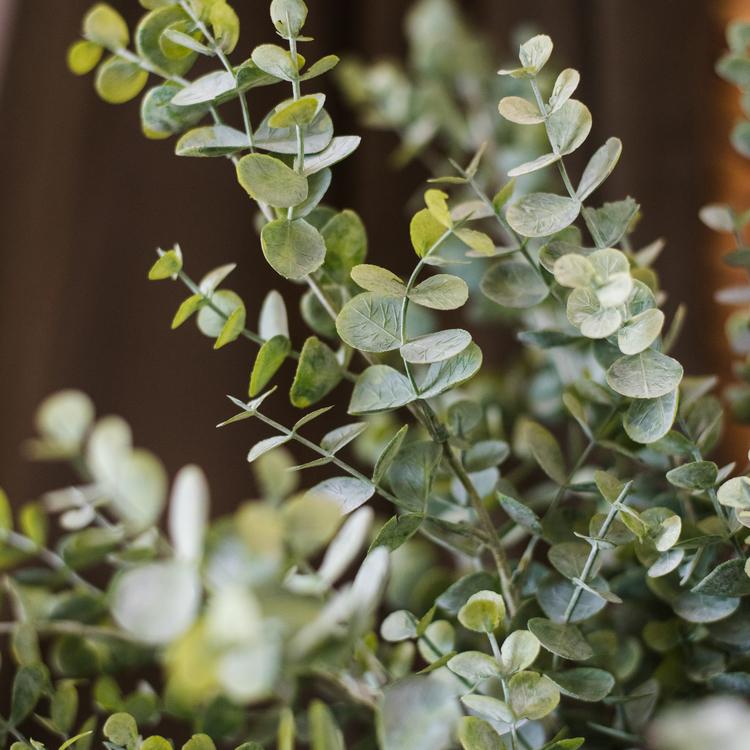 Artificial Faux Plant Eucalyptus Stem