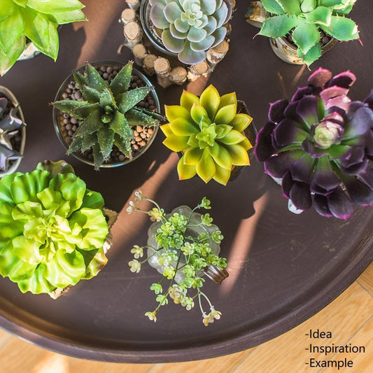 Artificial Faux Small Succulent Stem Randomly Picked Set of 5