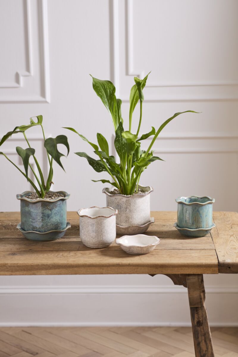 Aurina Pot with Saucer