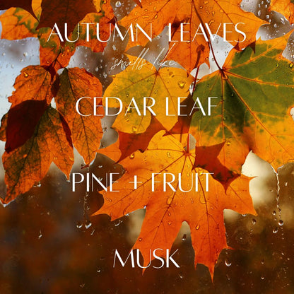 13 oz Mason Jar Soy Candle - Autumn Leaves
