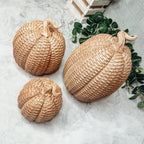Basket Weave Pumpkins