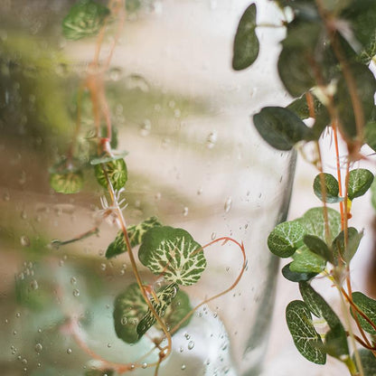 Begonia Leaf Hanging Vine 27" Long