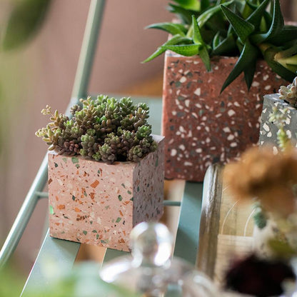 Cement Planter in Various Shape Colors and Sizes