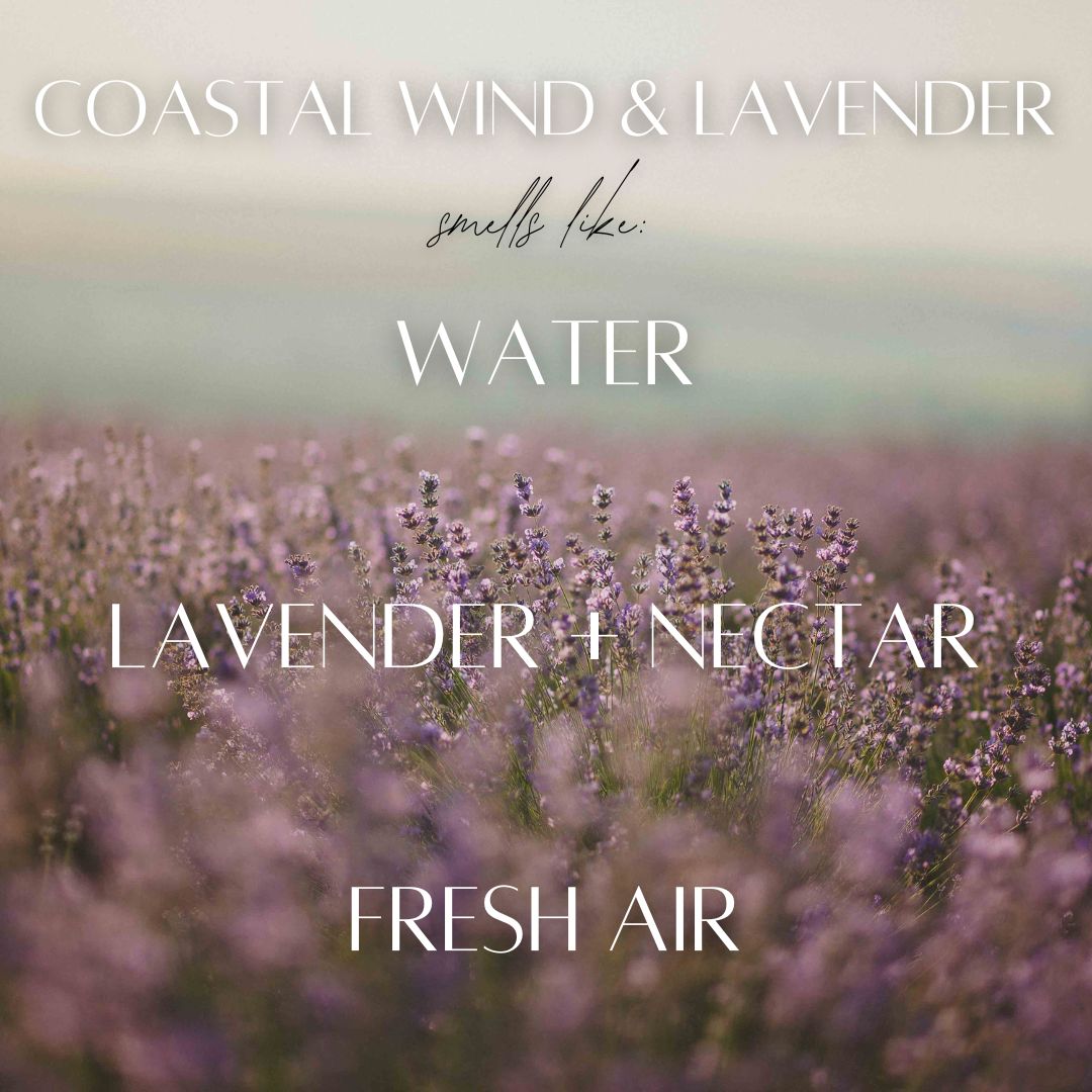 Coastal Wind & Lavender - 7 Wick White Wood Dough Bowl Soy Candle
