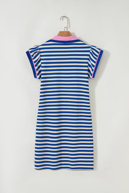 Stripe Contrast Collared V-Neck Dress