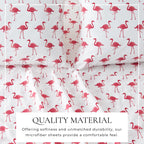 Newport Coastal Printed Sheet Set