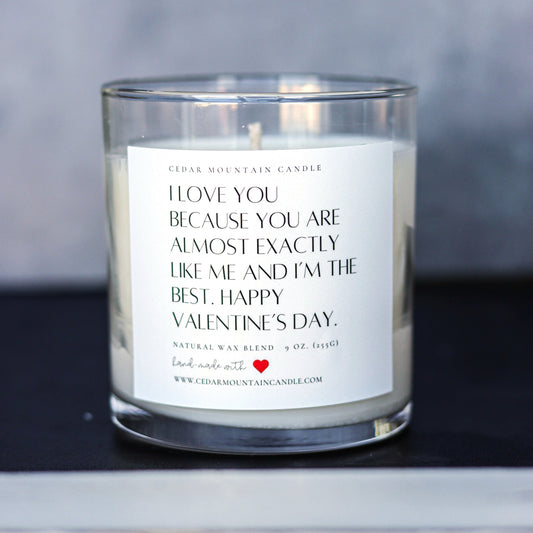 "I love you because..." Valentine's Day 9 oz Whiskey Glass Jar Soy Candle - Choose Your Scent