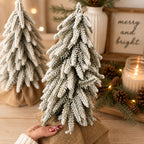 Snow Trees