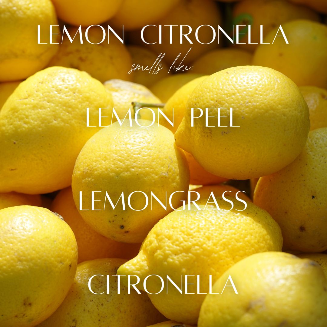 Lemon Citronella - 7 Wick White Wood Dough Bowl Soy Candle