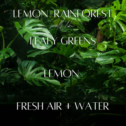 13 oz Mason Jar Soy Candle - Lemon Rainforest