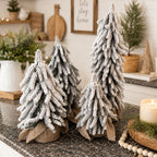 Snow Trees